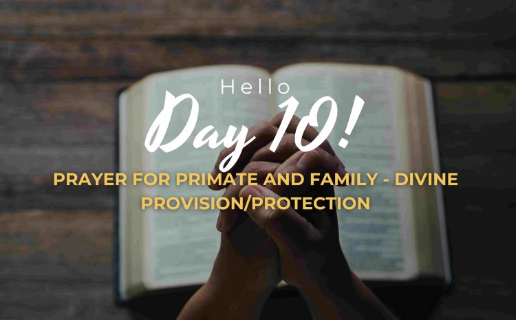  PRAYER FOR PRIMATE AND FAMILY – DIVINE PROVISION/PROTECTION